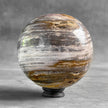 Wonderful Petrified Wood Sphere on a Custom Stand PS/533