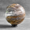 Wonderful Petrified Wood Sphere on a Custom Stand PS/533