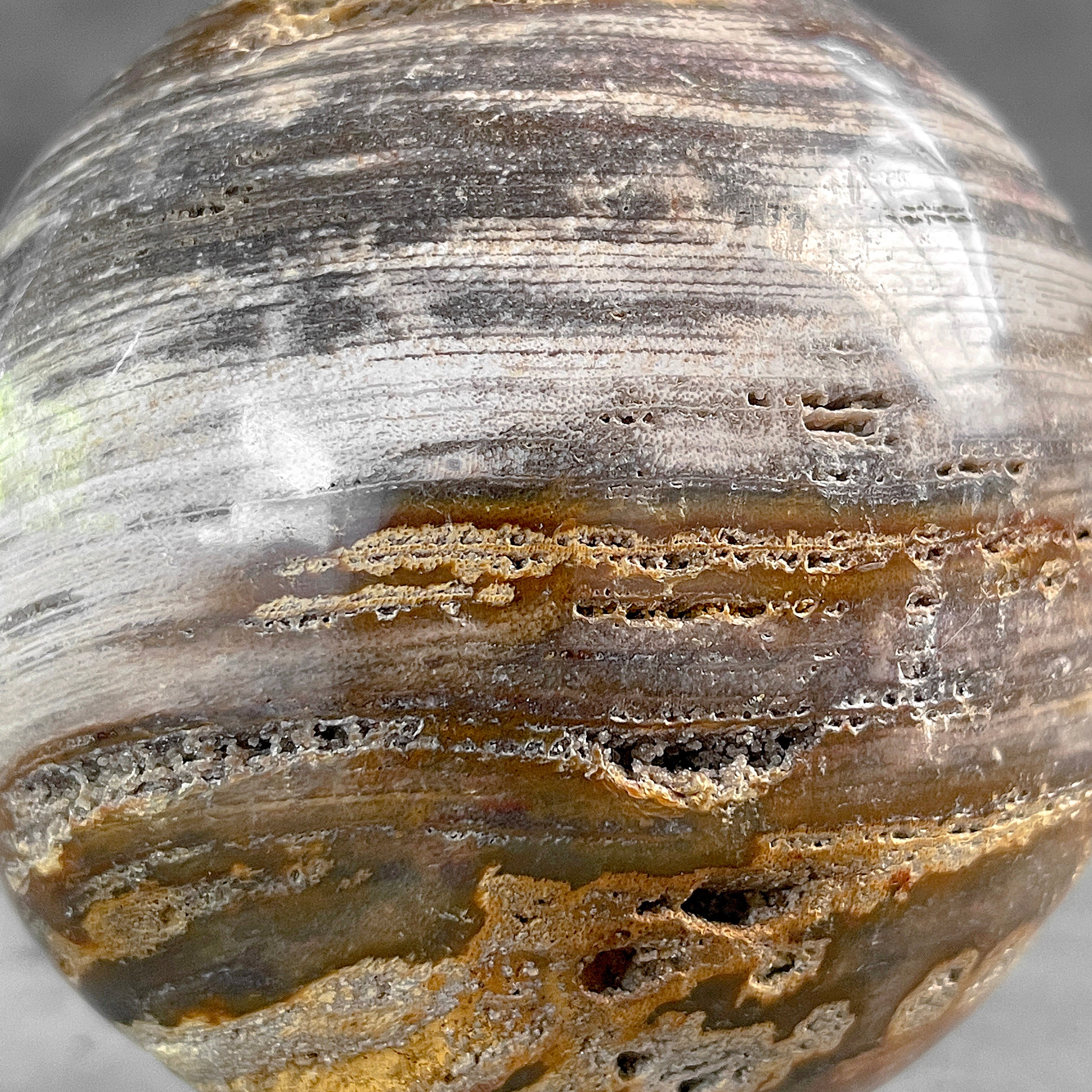 Wonderful Petrified Wood Sphere on a Custom Stand PS/533