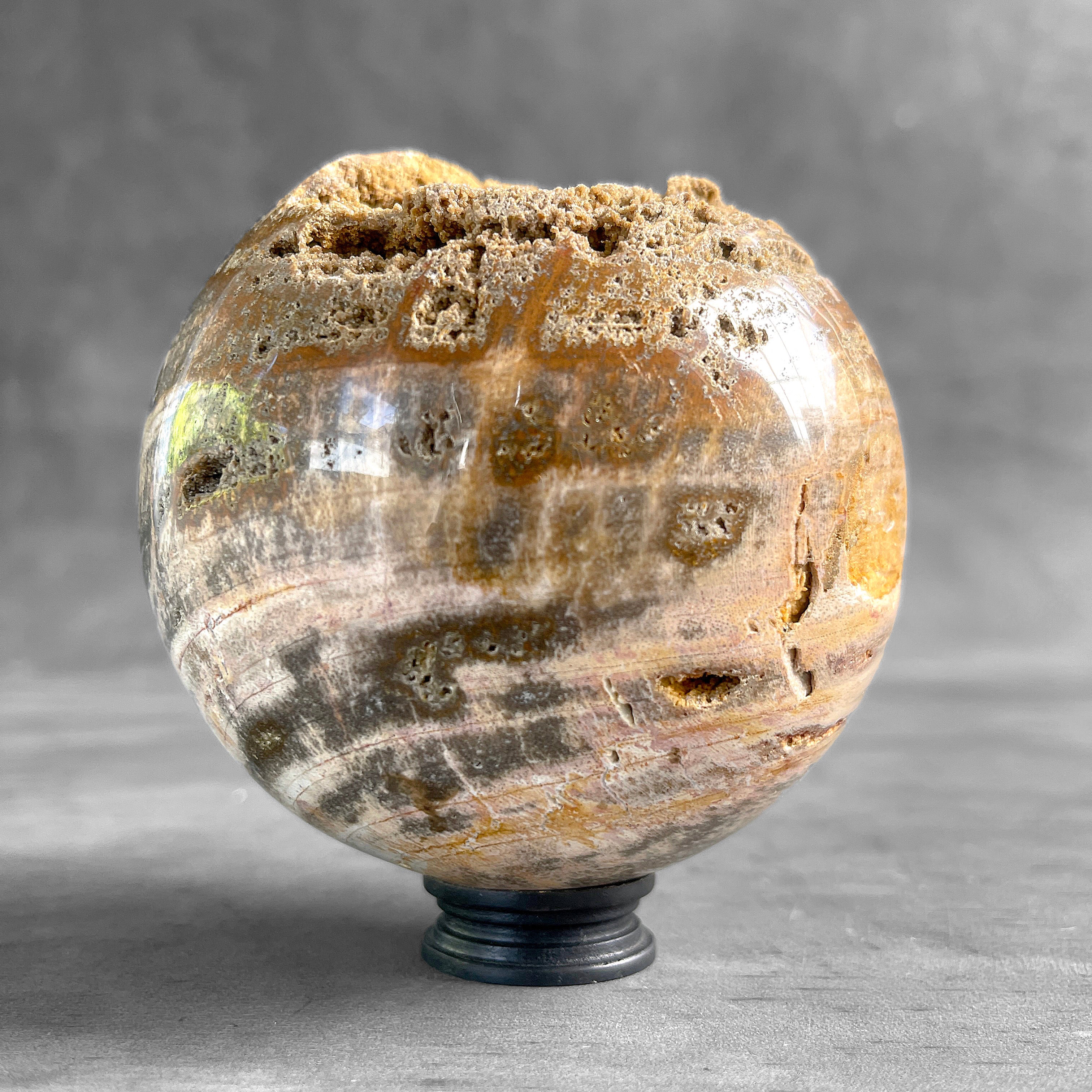 Wonderful Petrified Wood Sphere on a Custom Stand PS/571