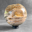 Wonderful Petrified Wood Sphere on a Custom Stand PS/571