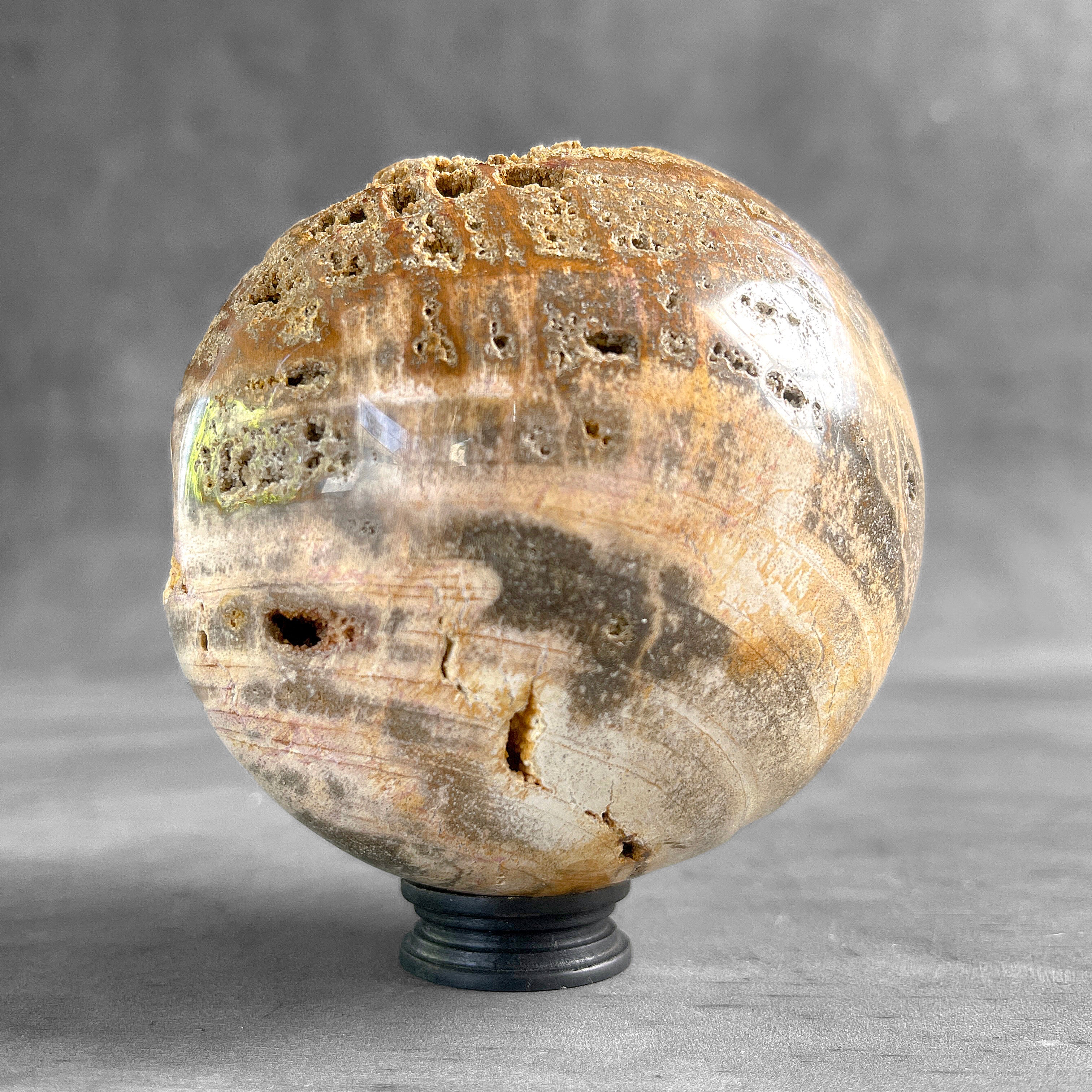 Wonderful Petrified Wood Sphere on a Custom Stand PS/571