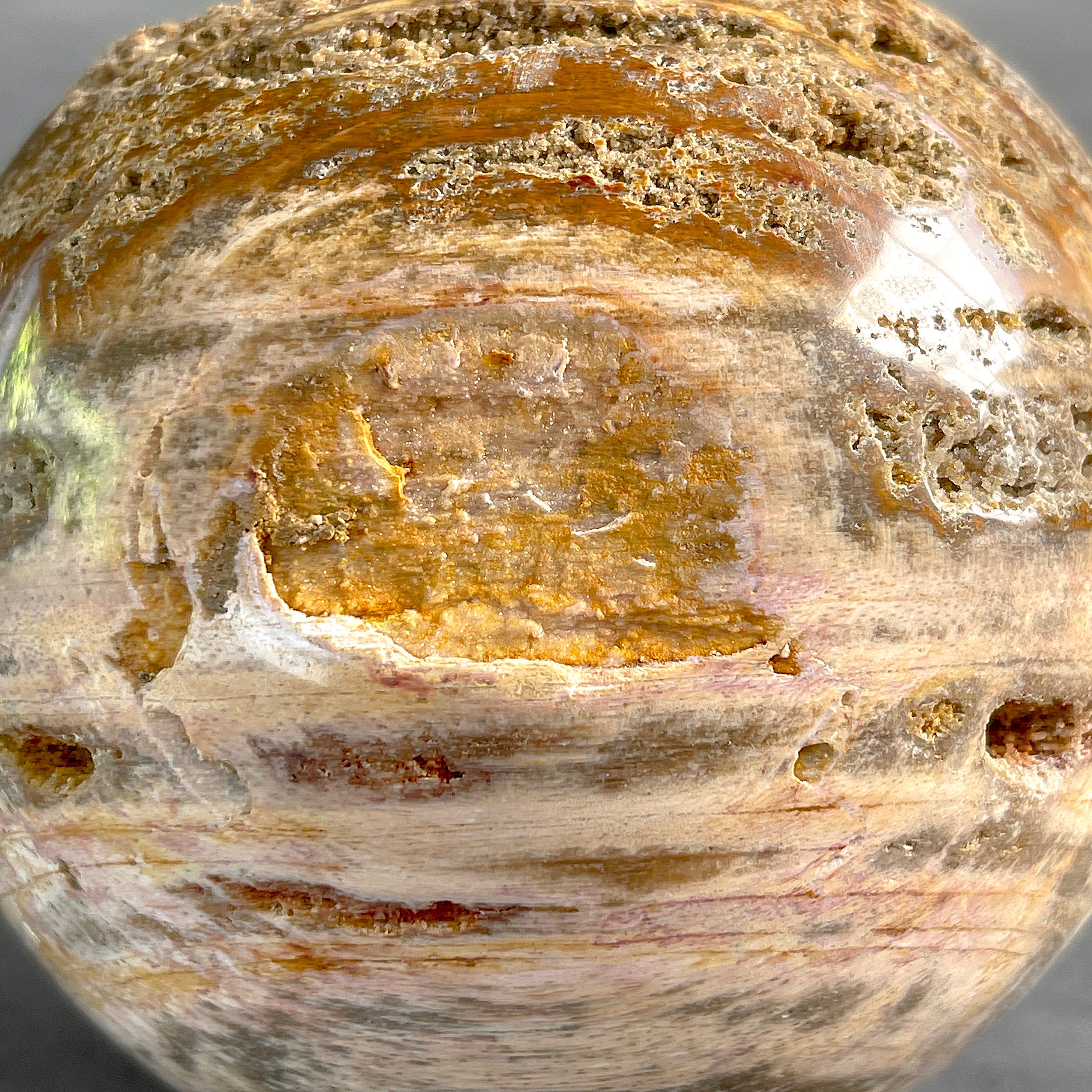 Wonderful Petrified Wood Sphere on a Custom Stand PS/571