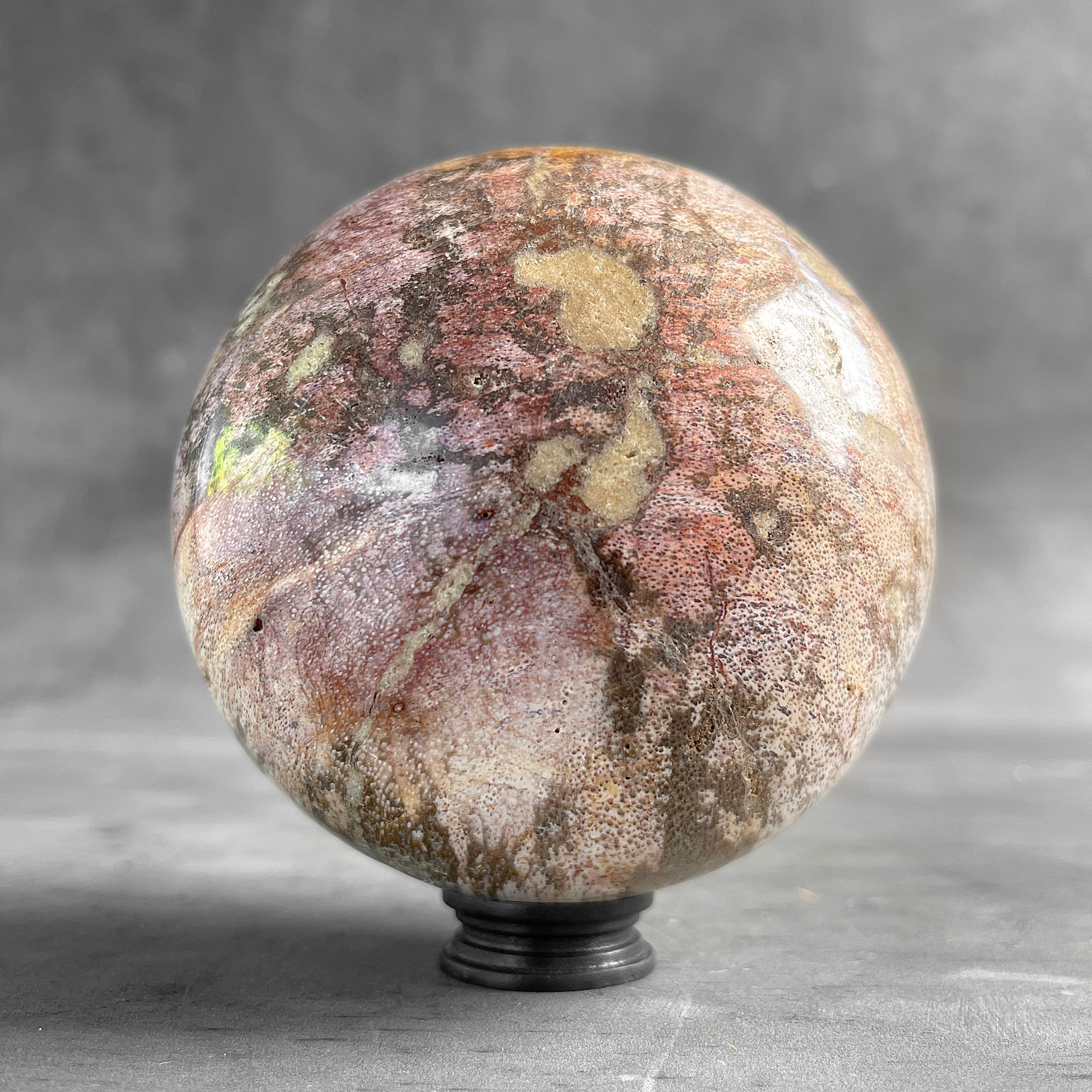 Wonderful Petrified Palm Root Sphere on a Custom Stand PS/563