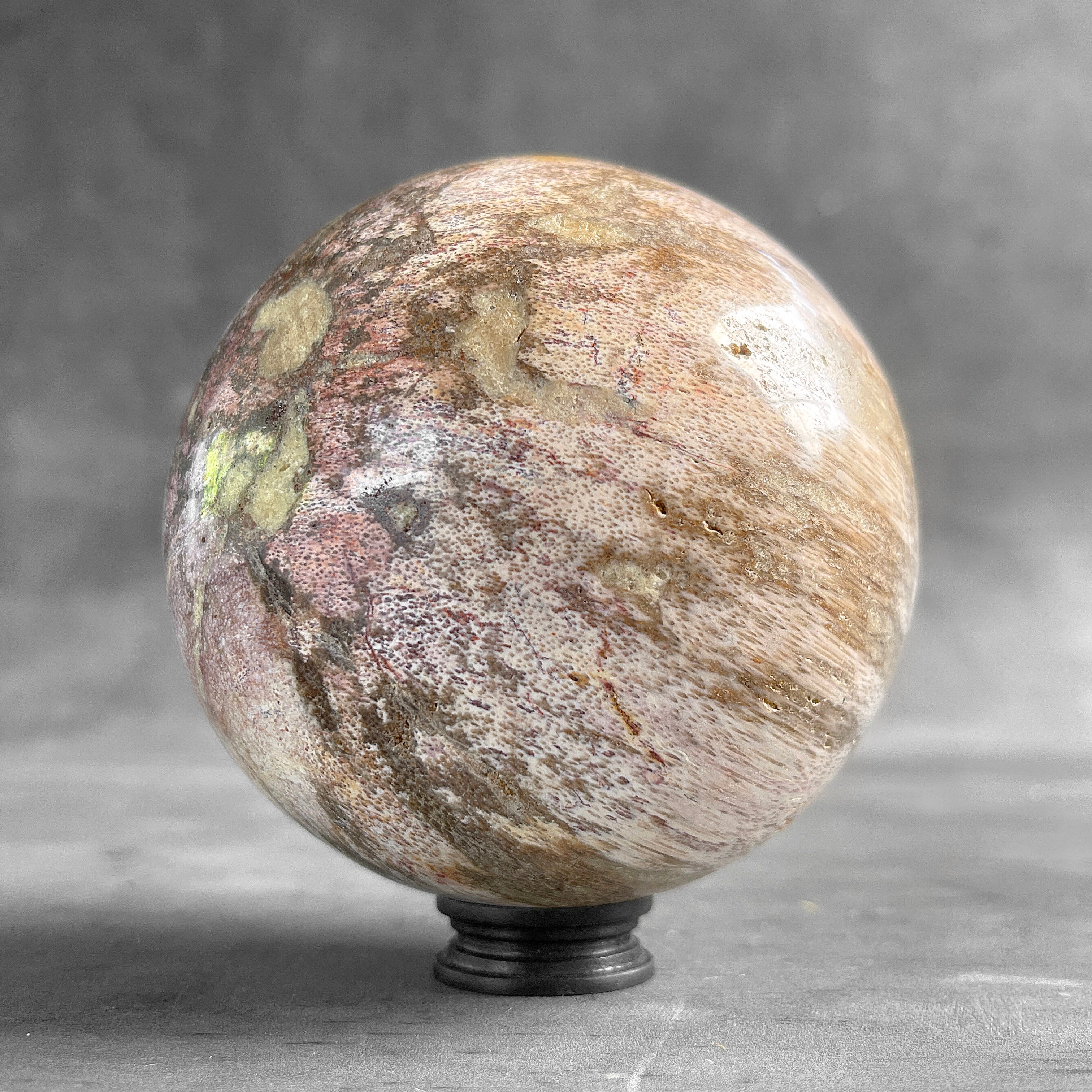 Wonderful Petrified Palm Root Sphere on a Custom Stand PS/563