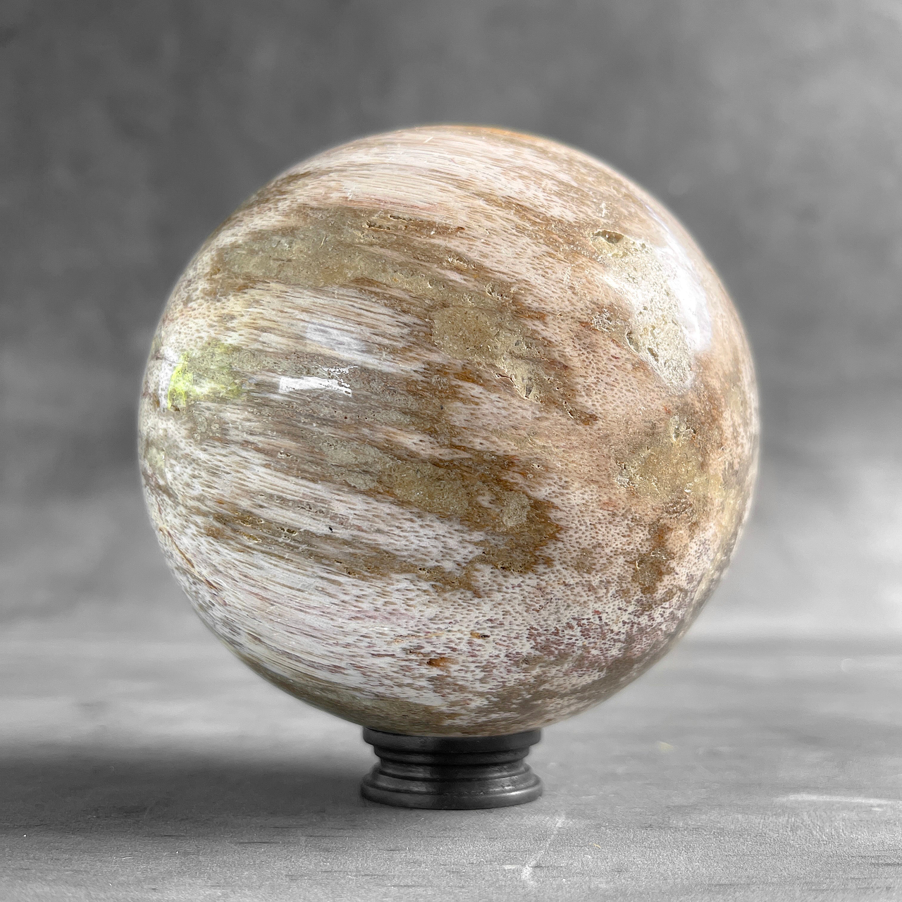 Wonderful Petrified Palm Root Sphere on a Custom Stand PS/563