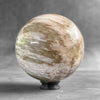 Wonderful Petrified Palm Root Sphere on a Custom Stand PS/563