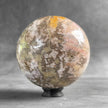 Wonderful Petrified Palm Root Sphere on a Custom Stand PS/563