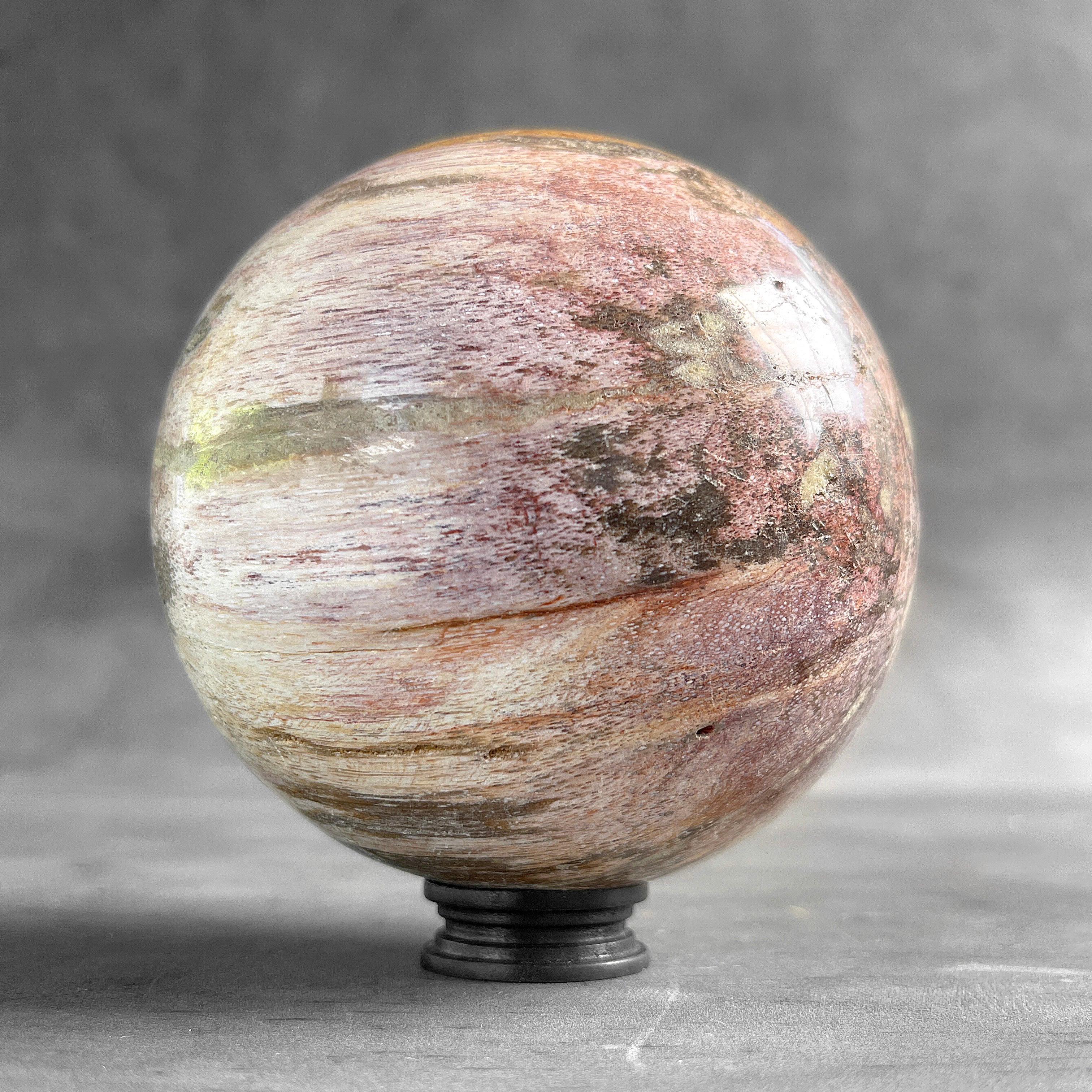 Wonderful Petrified Palm Root Sphere on a Custom Stand PS/563