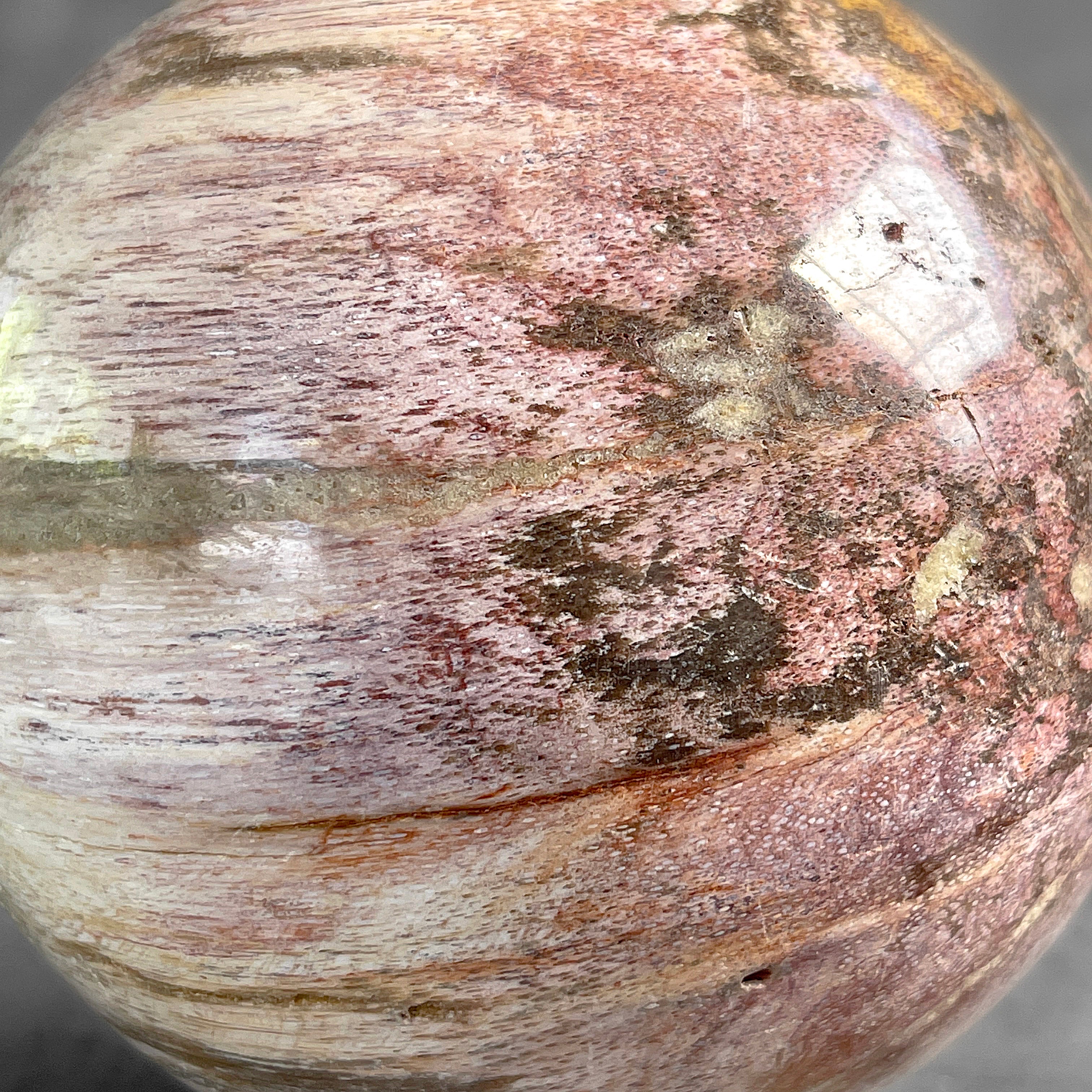 Wonderful Petrified Palm Root Sphere on a Custom Stand PS/563