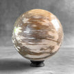 Wonderful Petrified Wood Sphere on a Custom Stand PS/567