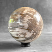 Wonderful Petrified Wood Sphere on a Custom Stand PS/567