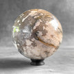 Wonderful Petrified Wood Sphere on a Custom Stand PS/567