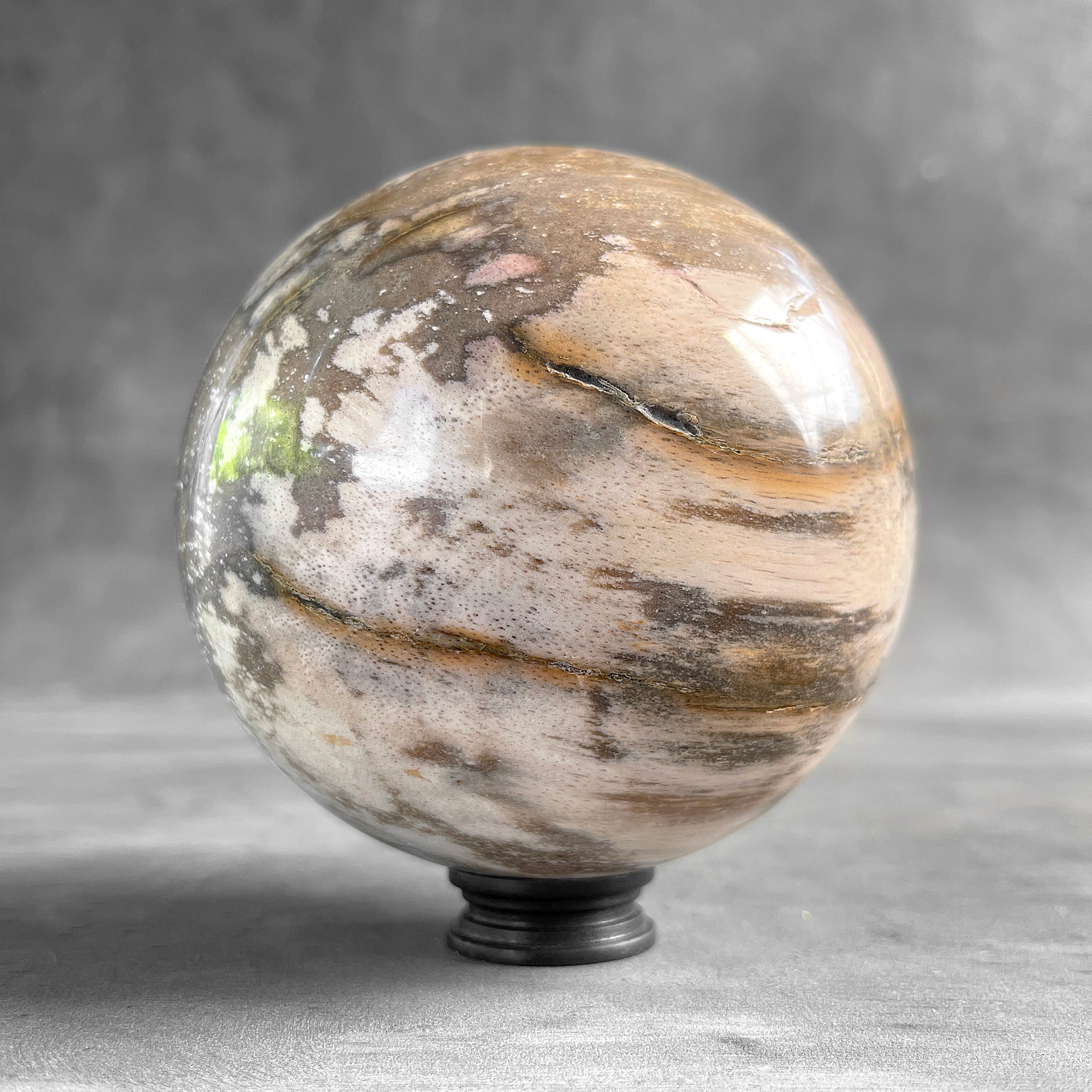 Wonderful Petrified Wood Sphere on a Custom Stand PS/567