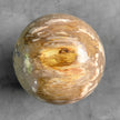 Wonderful Petrified Wood Sphere on a Custom Stand PS/567