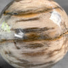 Wonderful Petrified Wood Sphere on a Custom Stand PS/567