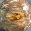 Wonderful Petrified Wood Sphere on a Custom Stand PS/567