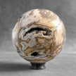 Wonderful Petrified Wood Sphere on a Custom Stand PS/558