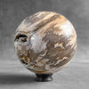 Wonderful Petrified Wood Sphere on a Custom Stand PS/558