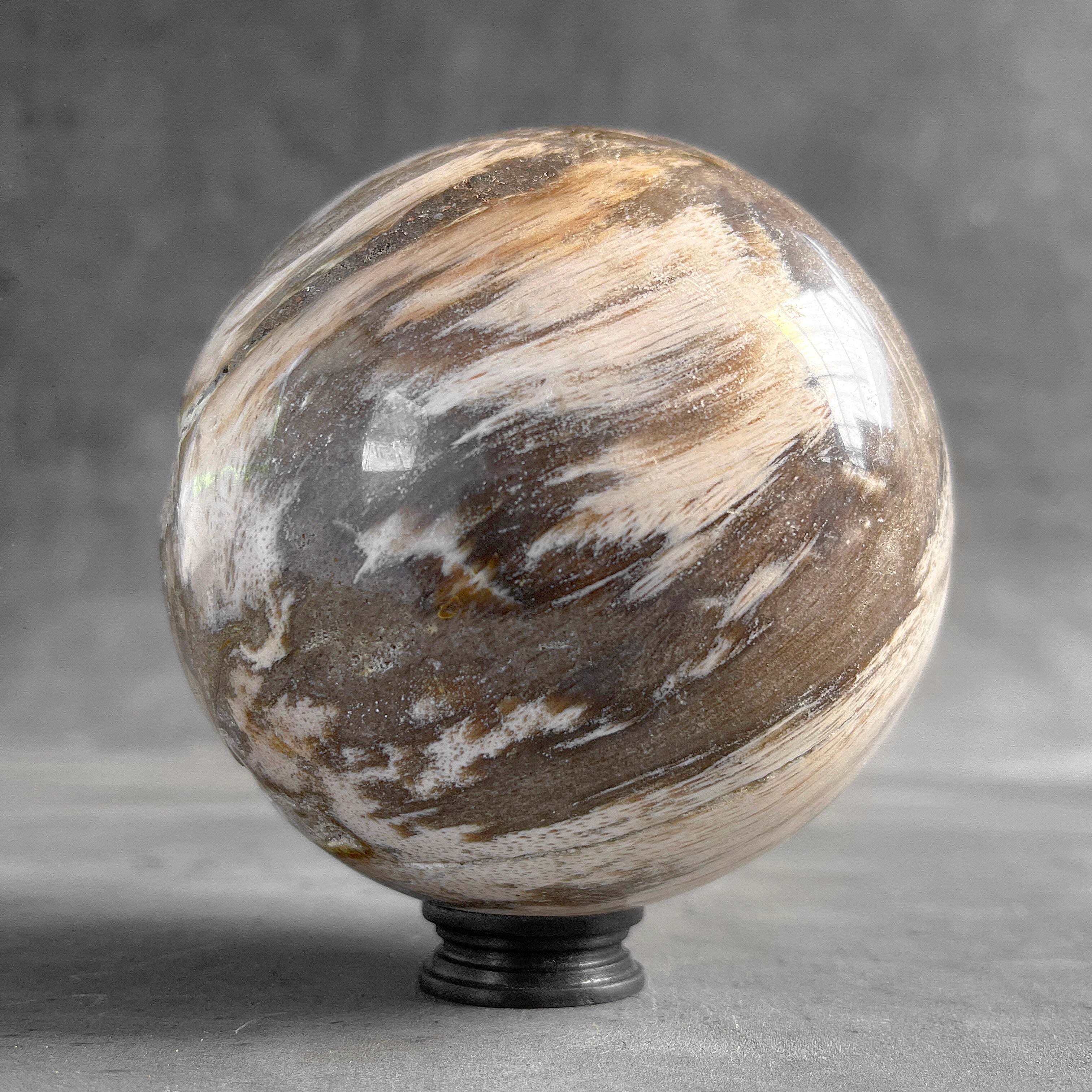 Wonderful Petrified Wood Sphere on a Custom Stand PS/558