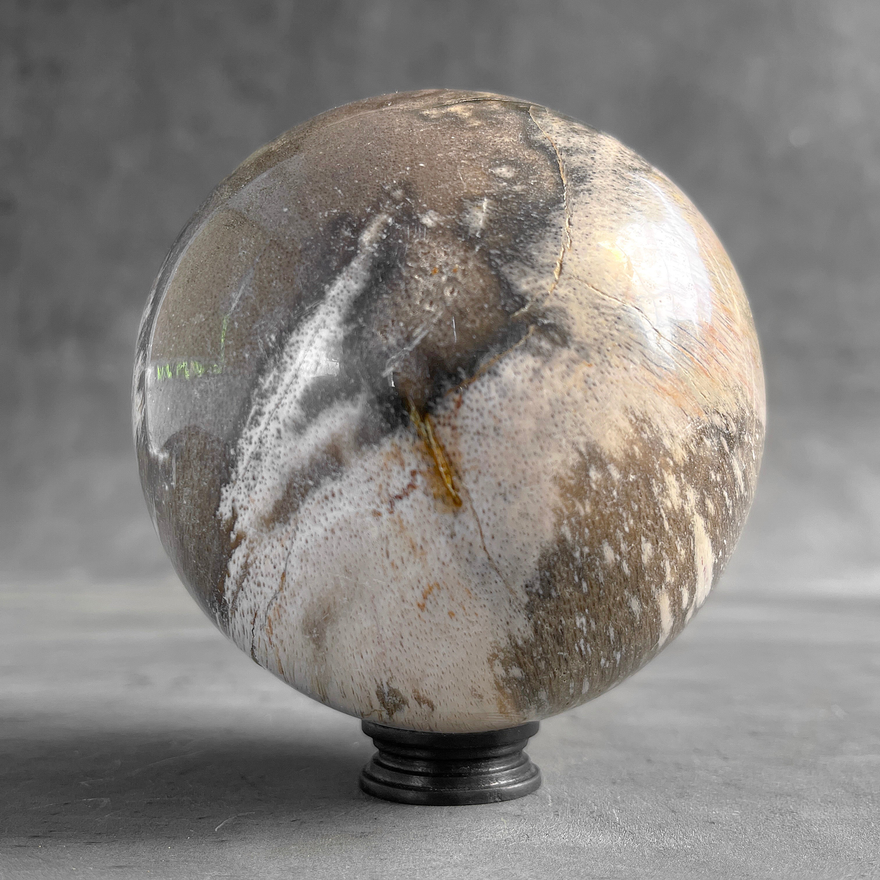 Wonderful Petrified Wood Sphere on a Custom Stand PS/558