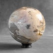 Wonderful Petrified Wood Sphere on a Custom Stand PS/558