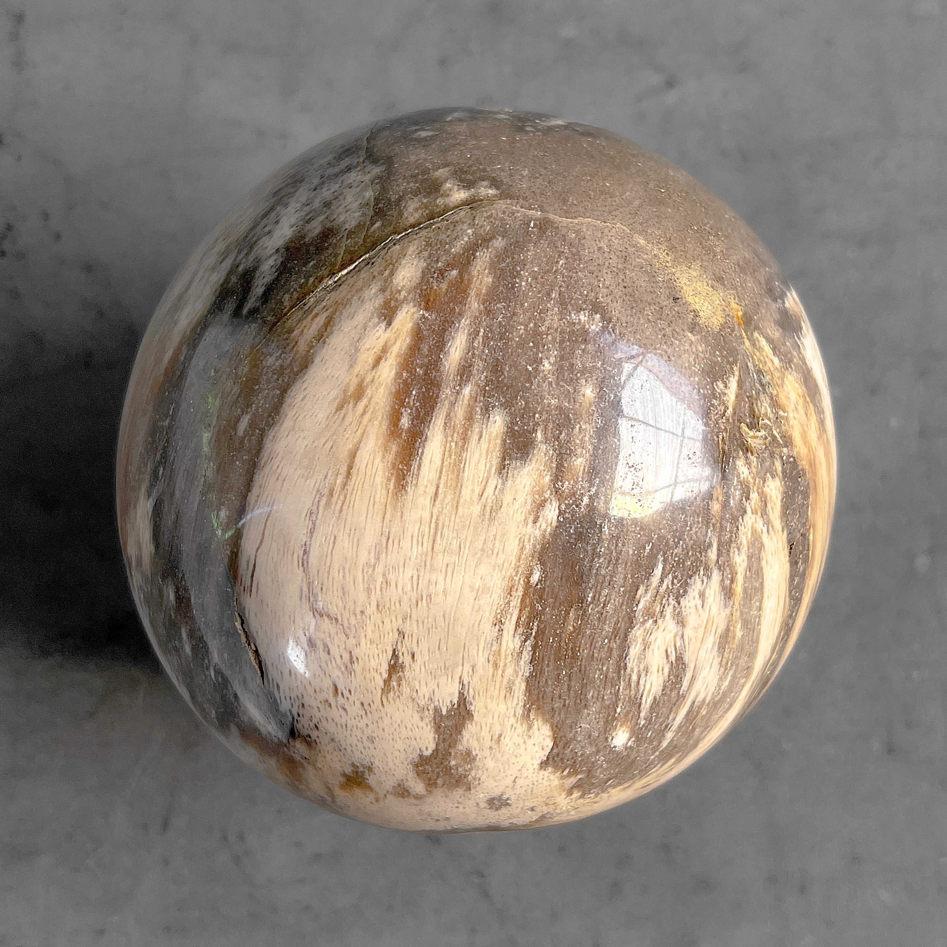 Wonderful Petrified Wood Sphere on a Custom Stand PS/558