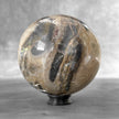 Wonderful Petrified Wood Sphere on a Custom Stand PS/560