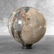 Wonderful Petrified Wood Sphere on a Custom Stand PS/560