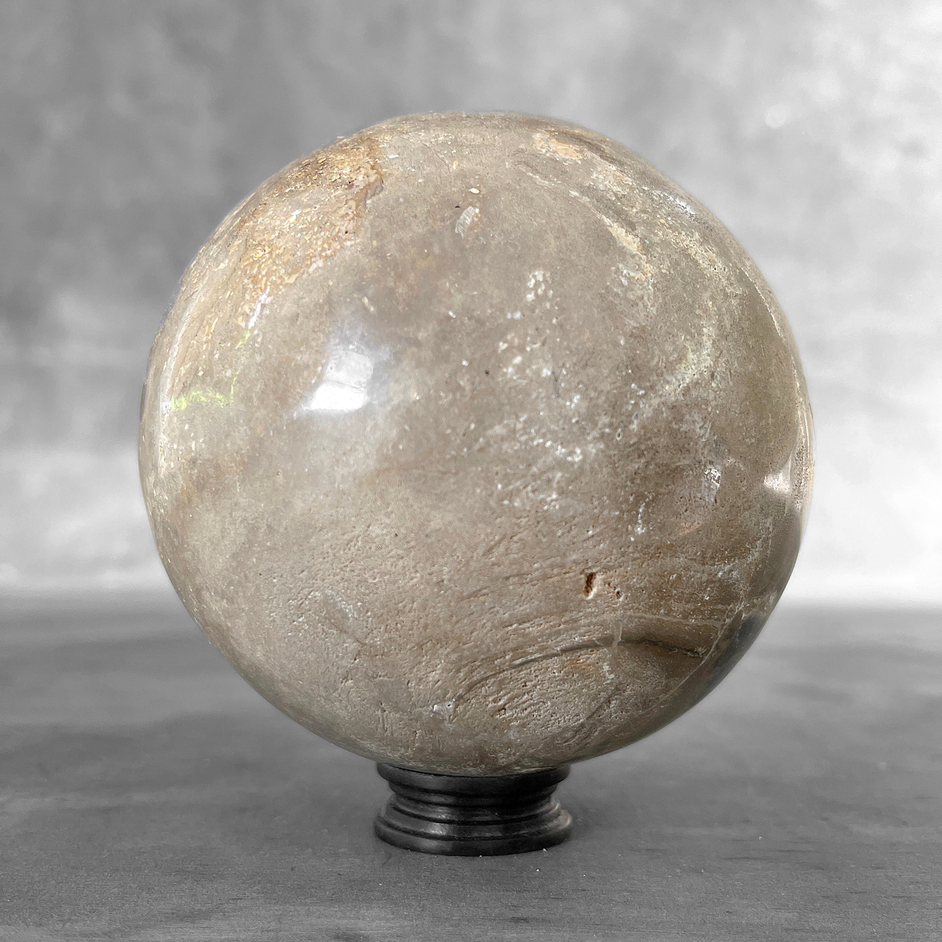 Wonderful Petrified Wood Sphere on a Custom Stand PS/560