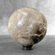 Wonderful Petrified Wood Sphere on a Custom Stand PS/560