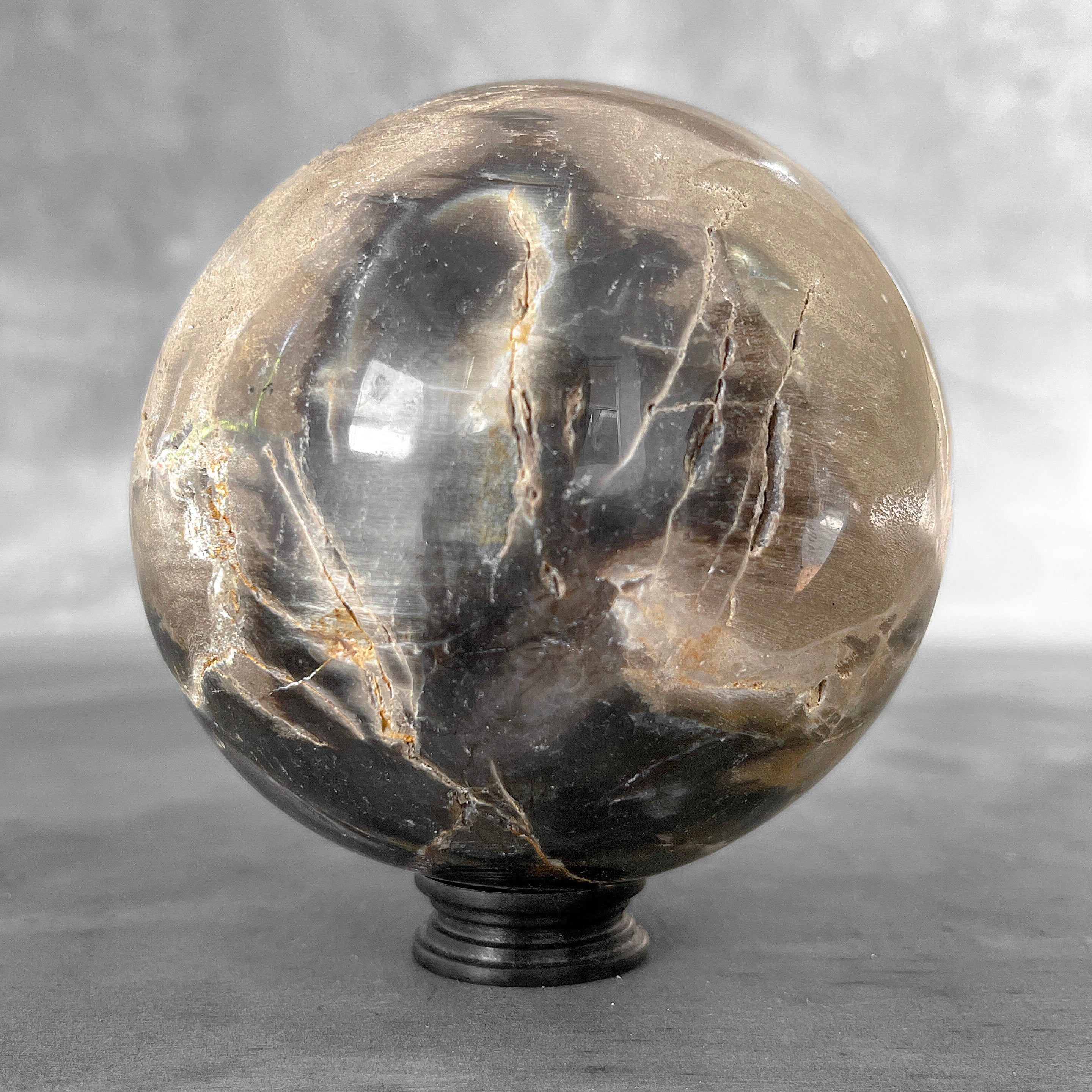 Wonderful Petrified Wood Sphere on a Custom Stand PS/560