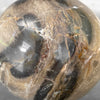 Wonderful Petrified Wood Sphere on a Custom Stand PS/560