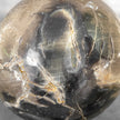 Wonderful Petrified Wood Sphere on a Custom Stand PS/560