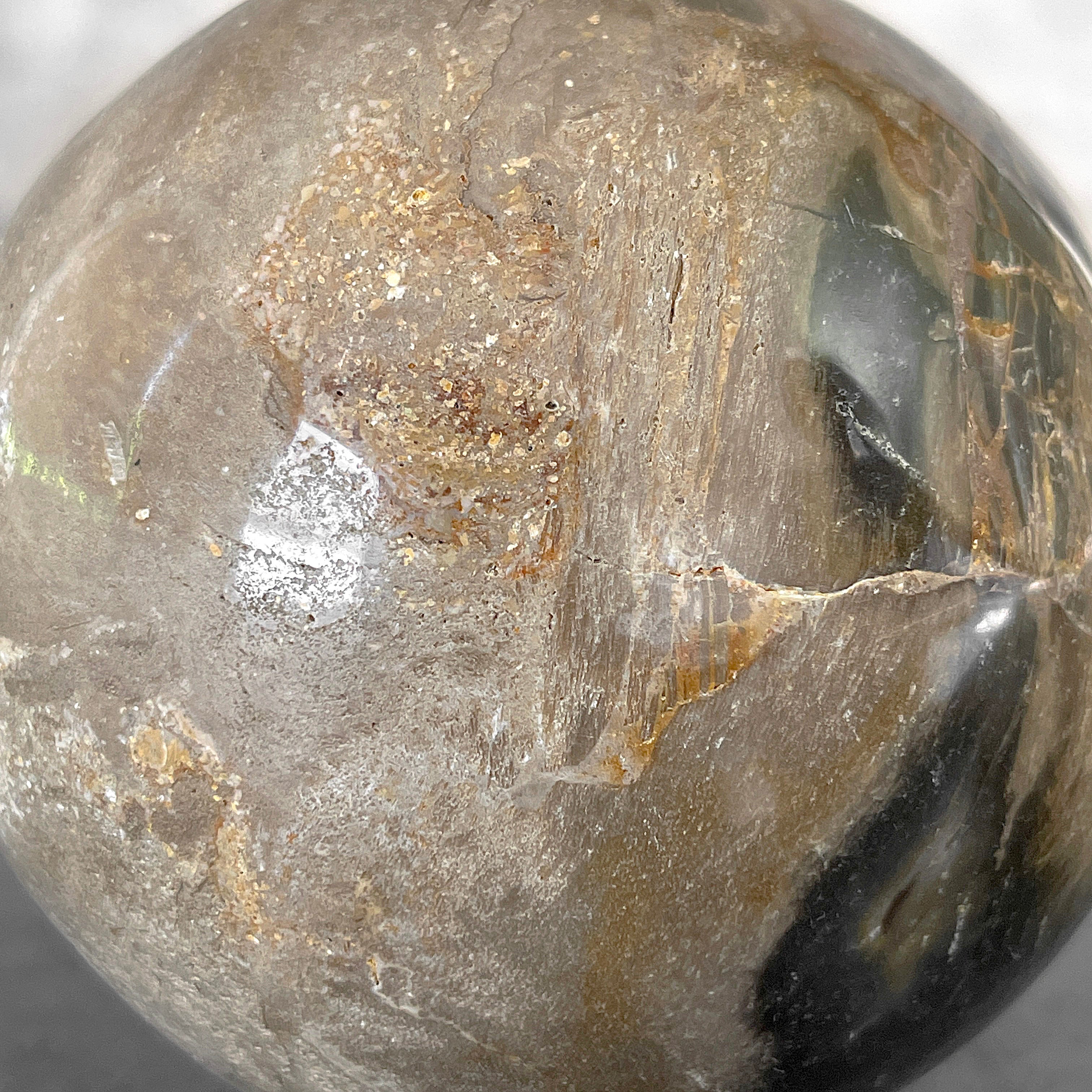 Wonderful Petrified Wood Sphere on a Custom Stand PS/560