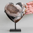 Wonderful Petrified Wood Heart-Shaped on a Custom Stand PWH/105