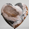 Wonderful Petrified Wood Heart-Shaped on a Custom Stand PWH/105