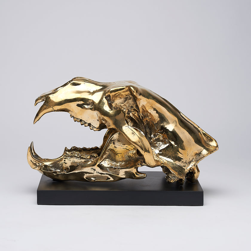 Polar Bear Skull Polished Bronze