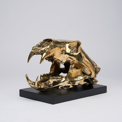 Polar Bear Skull Polished Bronze