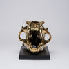 Polar Bear Skull Polished Bronze