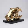 Polar Bear Skull Polished Bronze