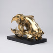 Polar Bear Skull Polished Bronze