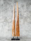 Pair of Natural Tusks on Stand – Rustic Tribal Decor, Bone Sculpture, African Style Accent - Tusk,A/043