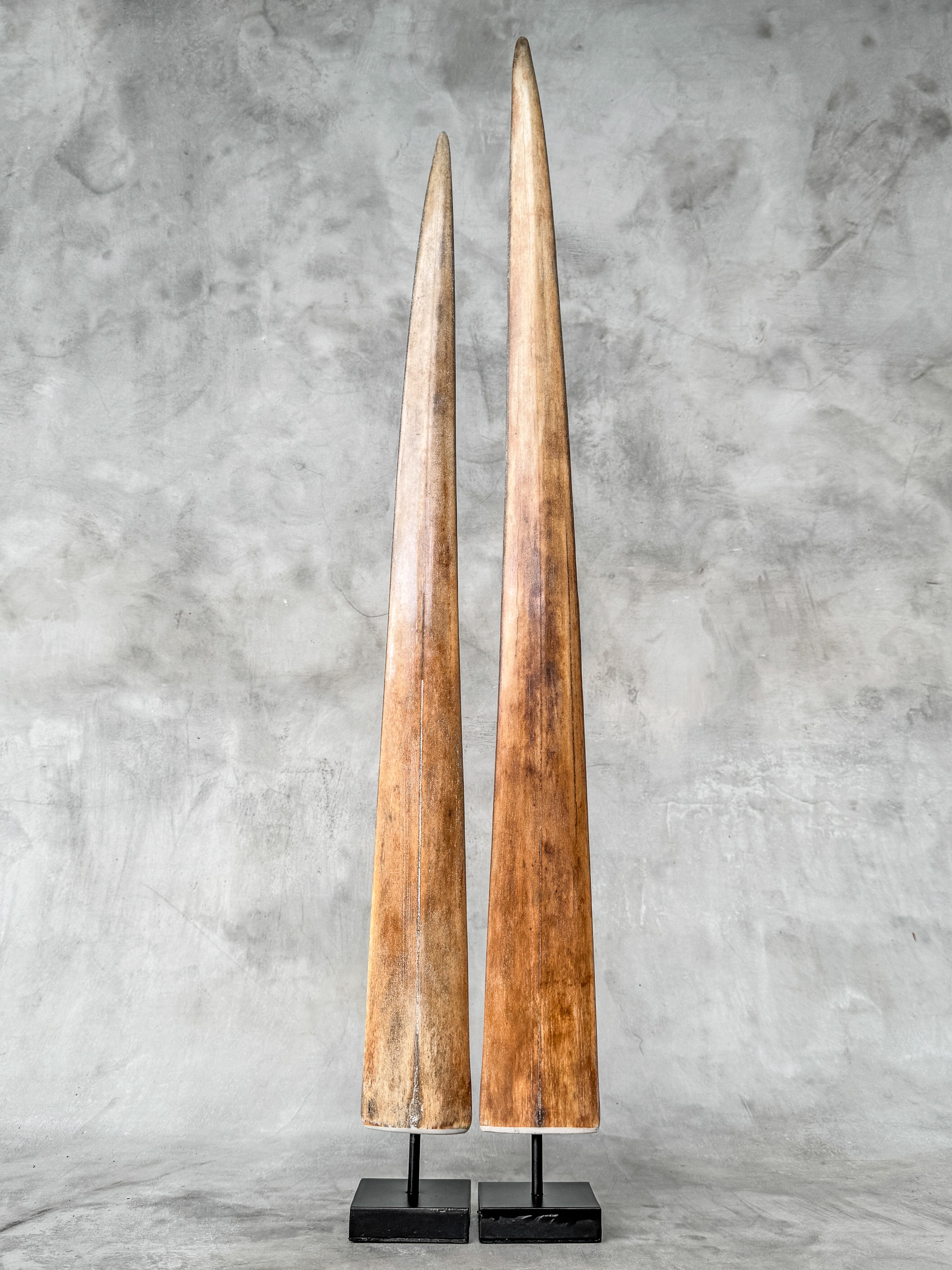 Pair of Natural Tusks on Stand – Rustic Tribal Decor, Bone Sculpture, African Style Accent - Tusk,A/043