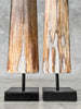 Pair of Natural Tusks on Stand – Rustic Tribal Decor, Bone Sculpture, African Style Accent - Tusk,A/043