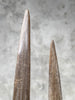Pair of Natural Tusks on Stand – Rustic Tribal Decor, Bone Sculpture, African Style Accent - Tusk,A/043