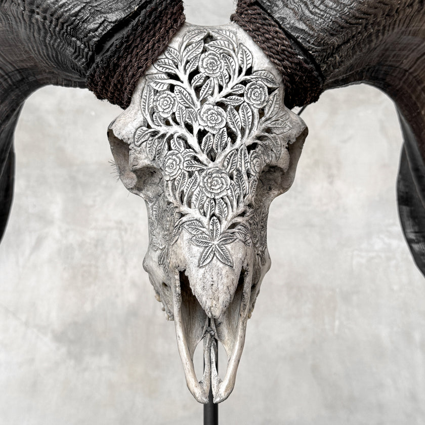Carved Ram Skulls | Skull,A/112