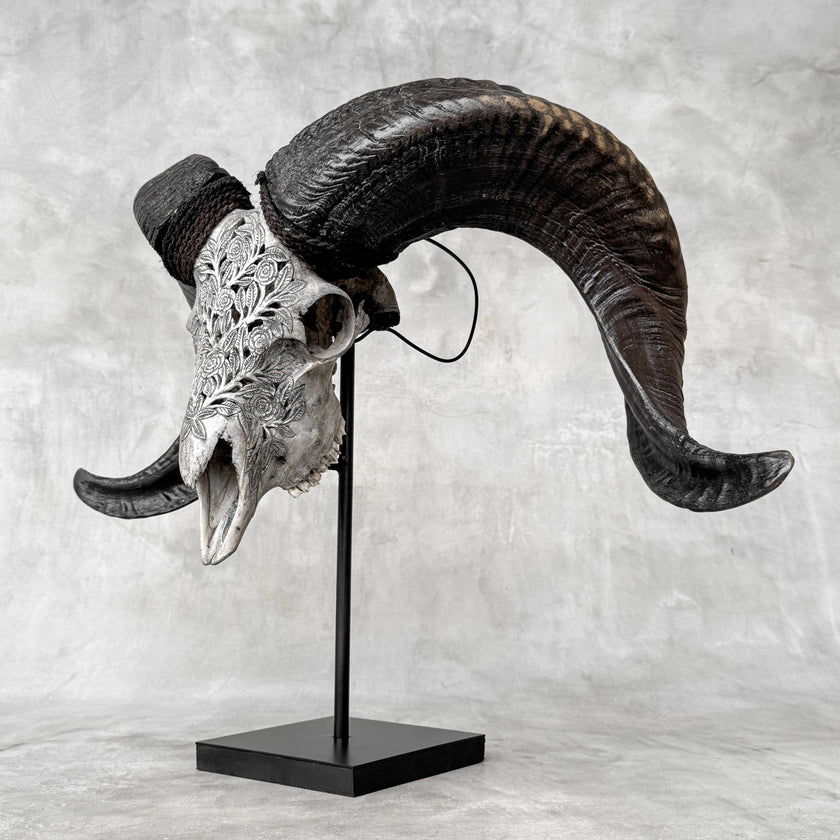 Carved Ram Skulls | Skull,A/112