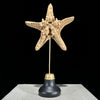 Starfish on a stand -L2/329