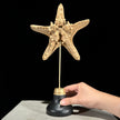 Starfish on a stand -L2/329